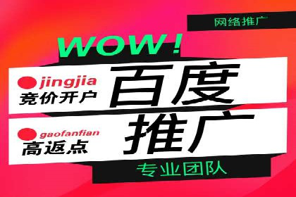百度广告竞价案例：精准投放，实现广告效果最大化